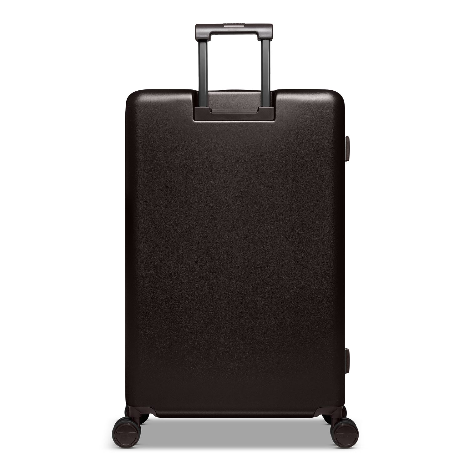 Mystique - Ground Coffee - Check-in (76 cm)